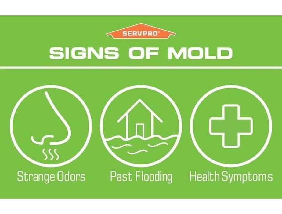 Signs of Mold